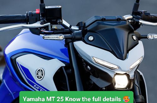 Yamaha MT 25